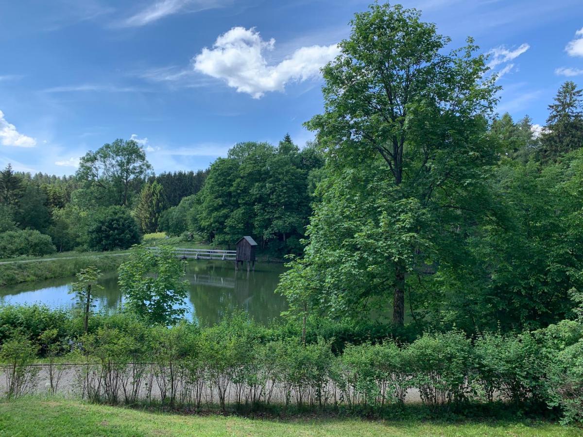 Haus Am Kurpark Leilighet Clausthal-Zellerfeld Eksteriør bilde